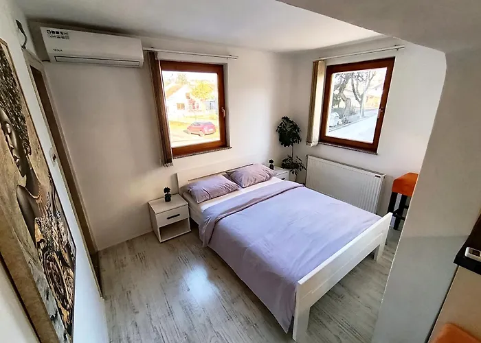 Abbazia Apartments Free Parking Near Center And Vrbas River 公寓 巴尼西卢卡